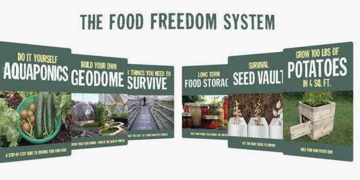 The Food Freedom Program Reviews - Food Freedom PDF