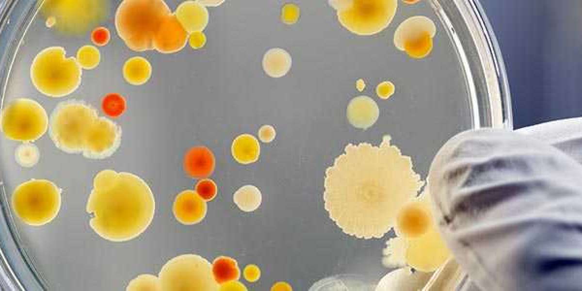 Anti-infectives Market to Set Phenomenal Growth in Key Regions By 2030