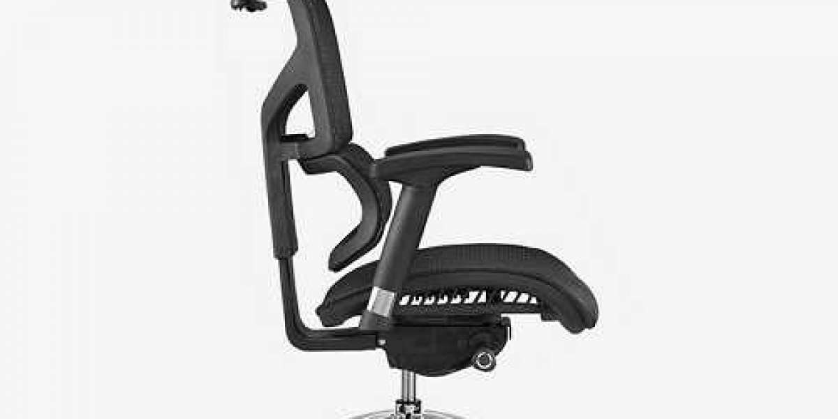 Executive Ergonomic Chair Review - What Type of Executive Ergonomic Office Chair is Best?
