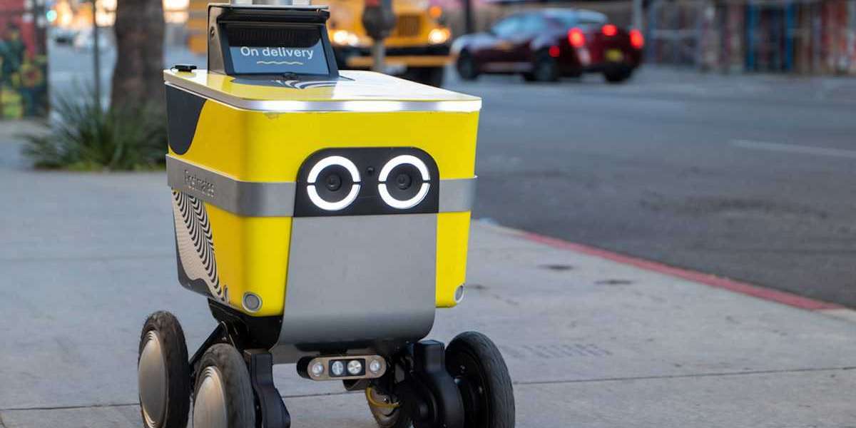Autonomous Delivery Robots Market Insights on Current Scope 2030