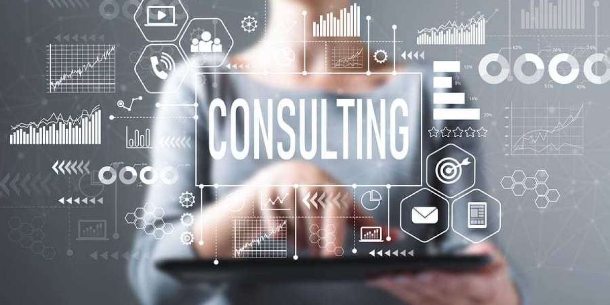 Business Plan Consulting Market Size, Trends, Scope and Growth Analysis to 2030