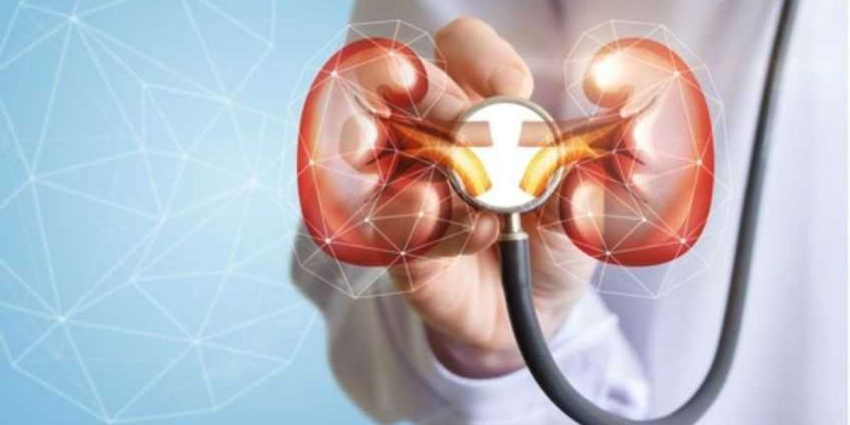 How Can You Keep Your Kidneys Working?