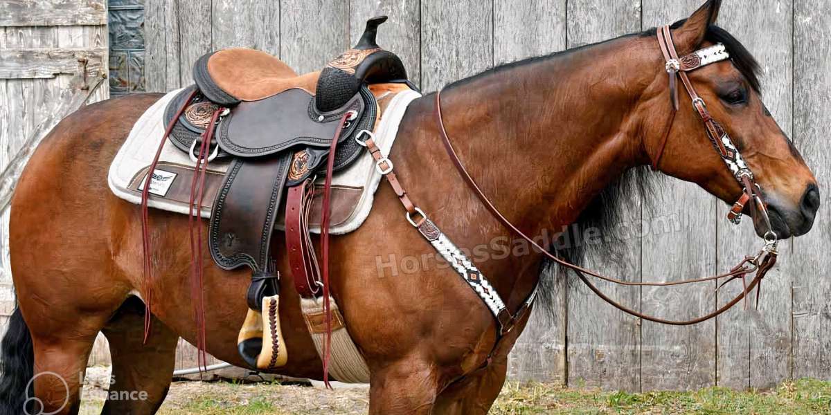 Buy Horse Saddle at the Lowest price in the USA