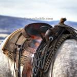 Horse Saddle Shop Profile Picture