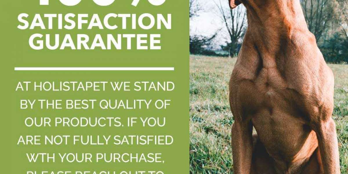 The Guide To Cbd Dog Treats For Anxiety Explained
