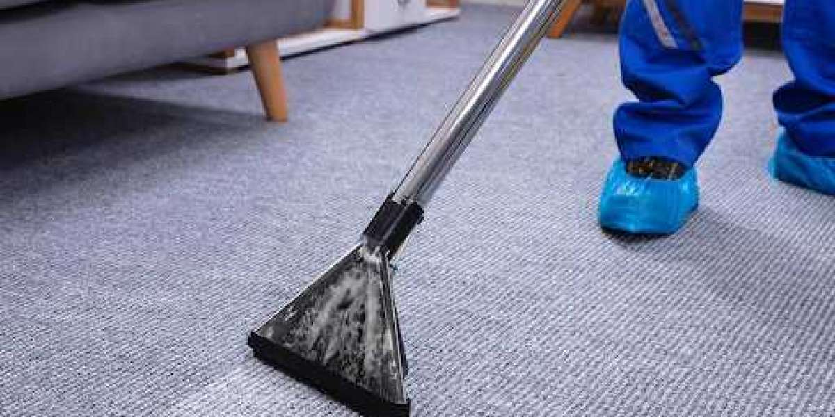 Advantages Of Professional Carpet Cleaning