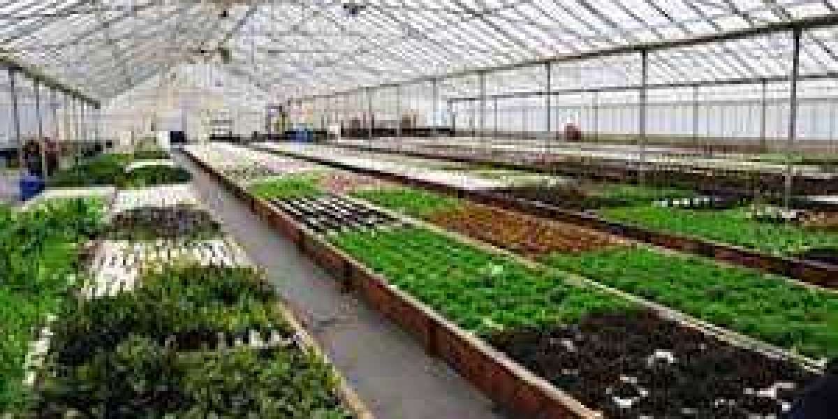 Aquaponic and Hydroponic Systems and Equipment Market Insights on Current Scope 2030