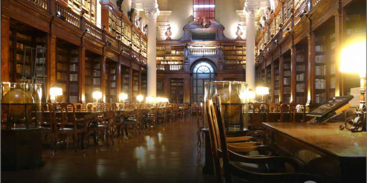 Bologna University courses