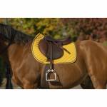 English Horse Saddle Profile Picture