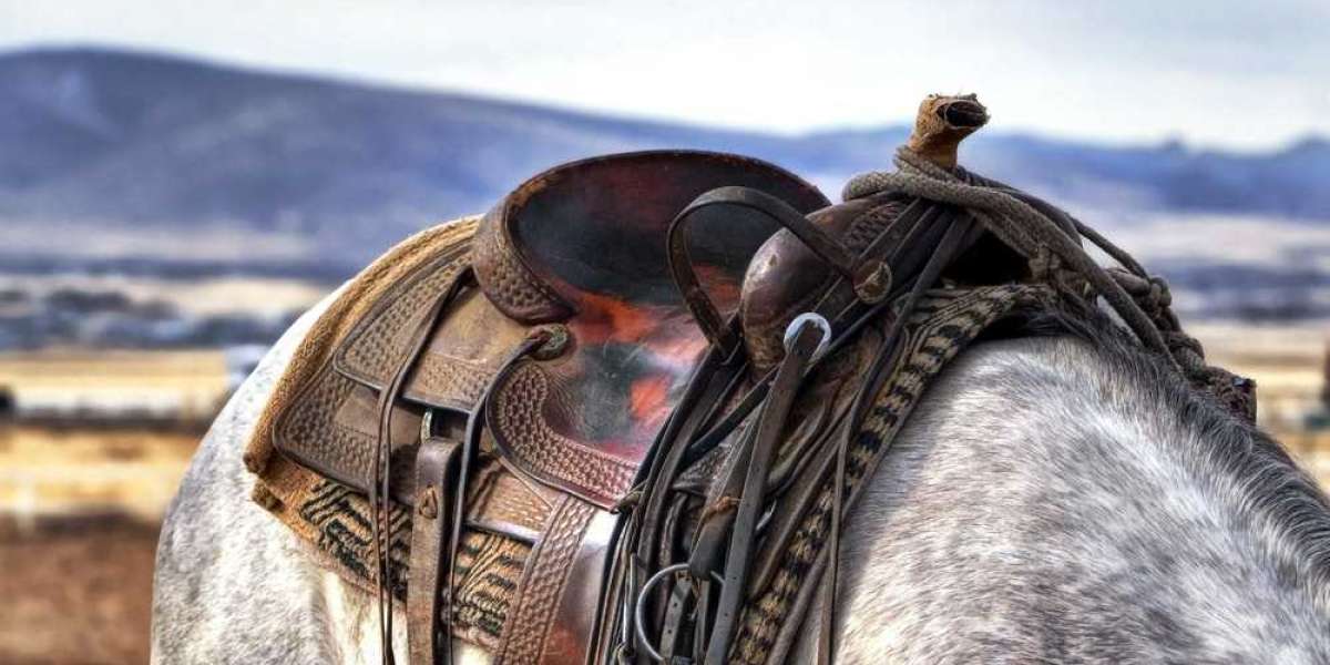 Western Saddle For Sale and Its Types
