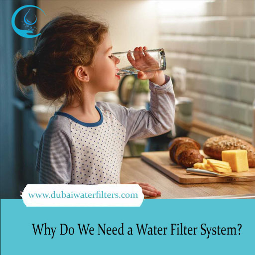 Why Do We Need a Water Purifier System - Are The Water Filters Safe?