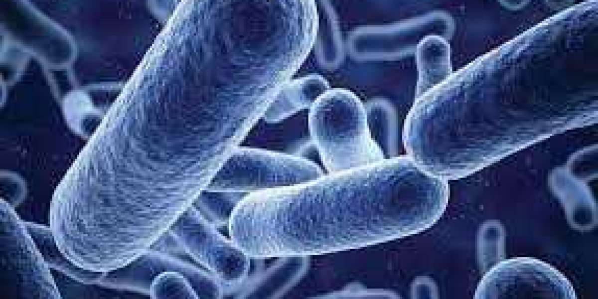 Antimicrobial Coatings Market Worth US$ 6.12 billion by 2027