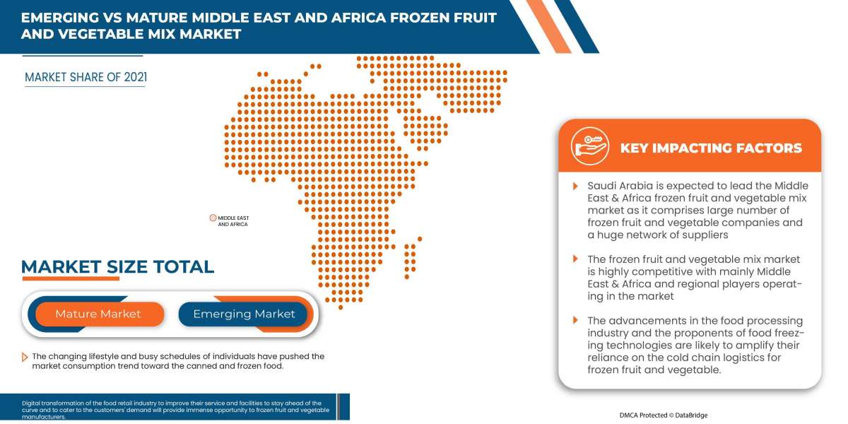 Middle East and Africa Frozen Fruit and Vegetable Mix Market Industry Size-Share, Global Trends, Key Players Strategies,
