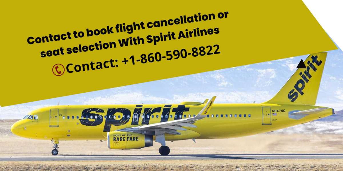 How do I change my flight on Spirit Airlines?