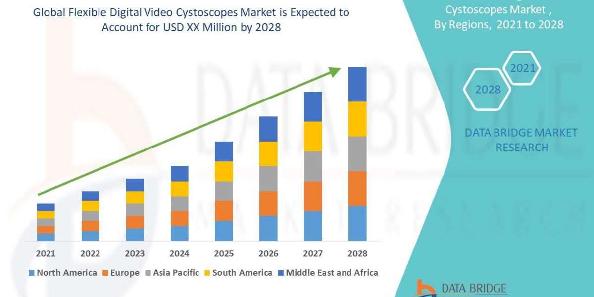 Flexible Digital Video Cystoscopes Market – Industry Trends and Forecast to 2028