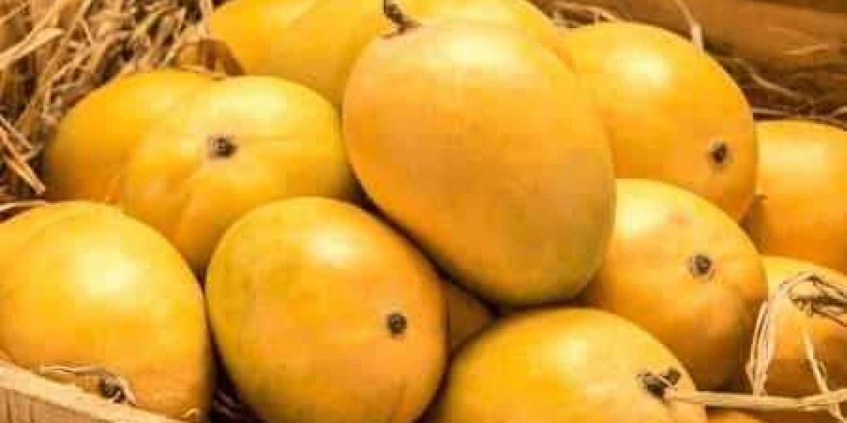 Benefits of Alphonso Mango