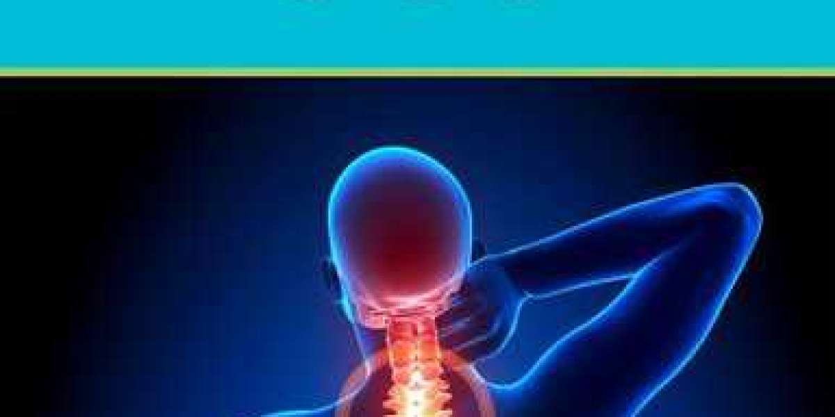 Back Pain SOS PDF Download eBook by Virgil Pruteanu