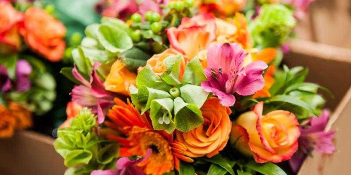Consumer Floriculture Market Size to Reach US$ 73.8 Billion by 2033