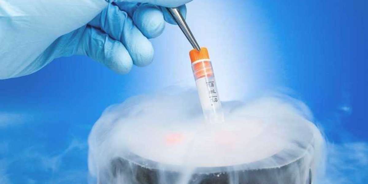 Cell Cryopreservation Market Size to Reach US$ 19,381.6 million by 2033