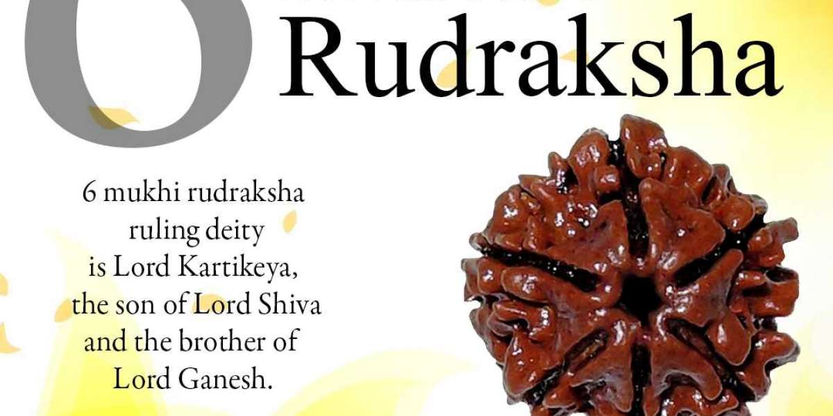 6 Mukhi Rudraksha Online At Wholesale Price