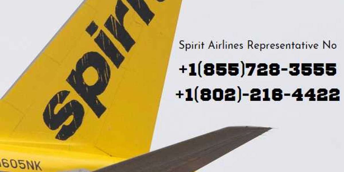What's Spirit Airlines Orlando Terminal?