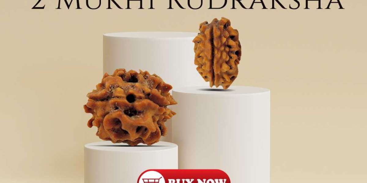 Buy 2 Mukhi Rudraksha At Best Price In India