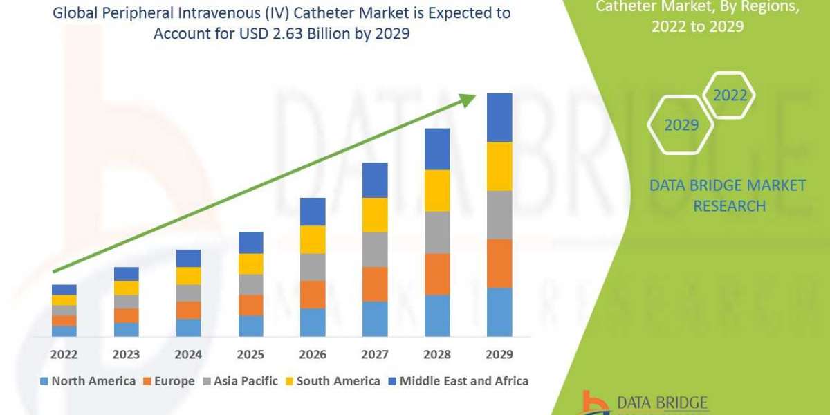 Peripheral Intravenous (IV) Catheter Market    Industry Size, Share Trends, Growth, Demand, Opportunities and Forecast B