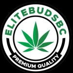 Elite Buds Profile Picture
