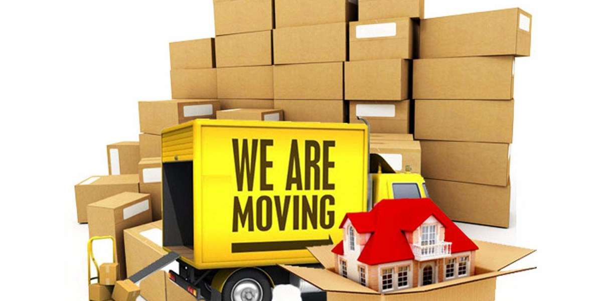A Step-By-Step Guide To A Stress-Free Move By The Experts From Velachery Packers And Movers