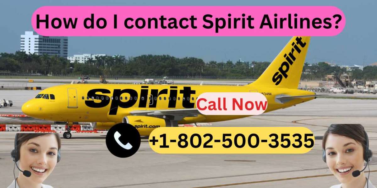 How do I contact Spirit Airlines?