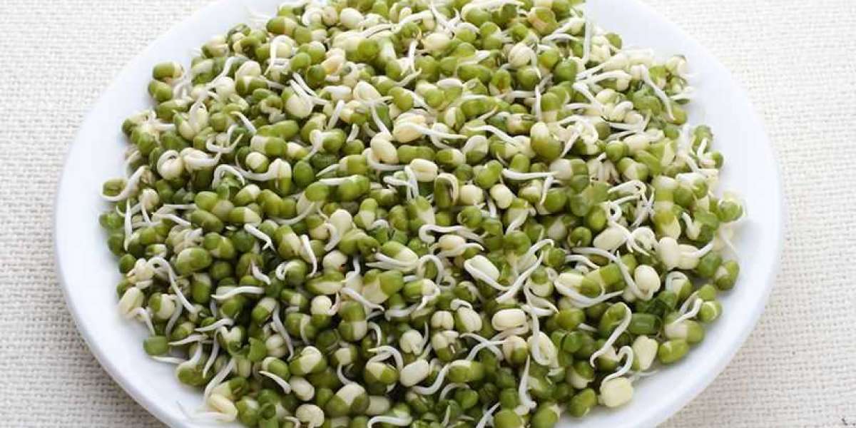 Sprouts Of Green Grams Are Good For Weight Loss