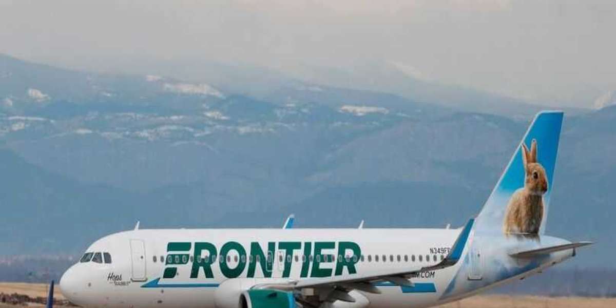 Rebooking a Cancelled Frontier Airlines Flight in Spanish: What Are My Options?
