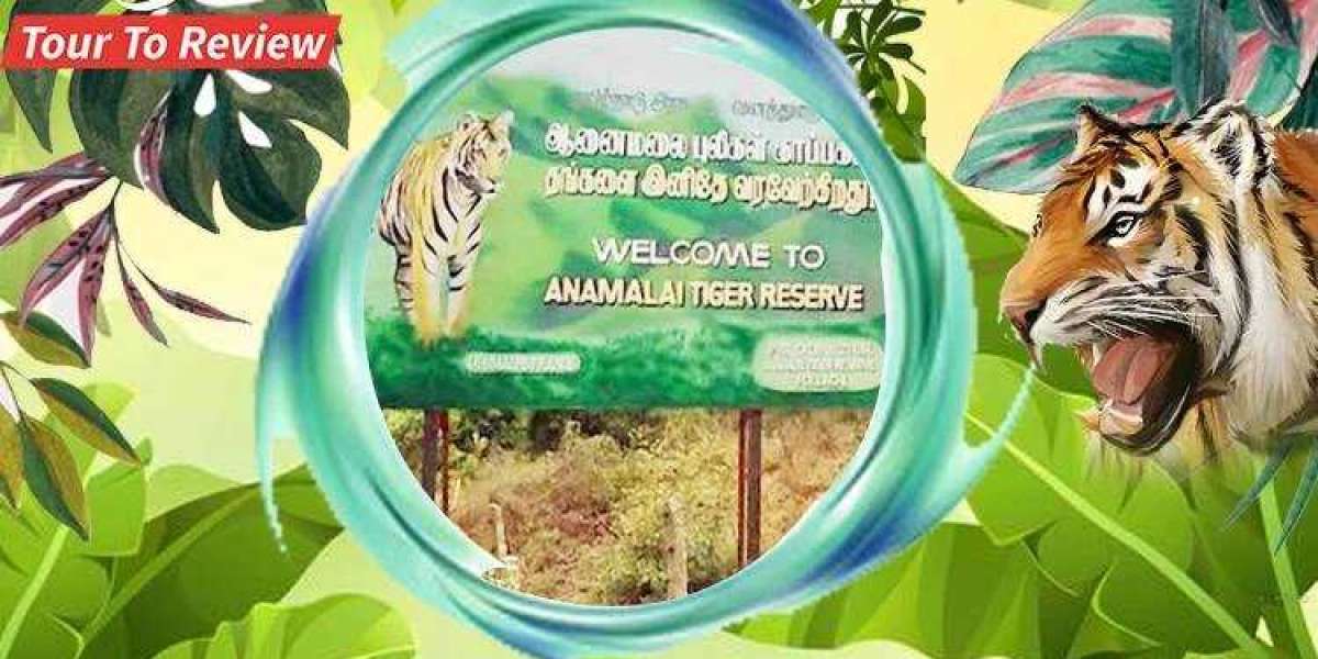Anamalai Tiger Reserve: Preserving India's Majestic Cats