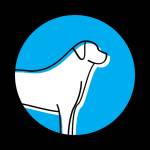 pawsome dog care Profile Picture