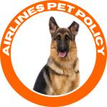 Airlines Pet Policy Profile Picture
