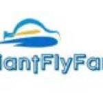 Allegiant Flyfares Profile Picture