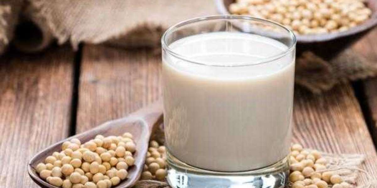 Milk Tofu Market Growing Demand and Huge Future Opportunities by 2033