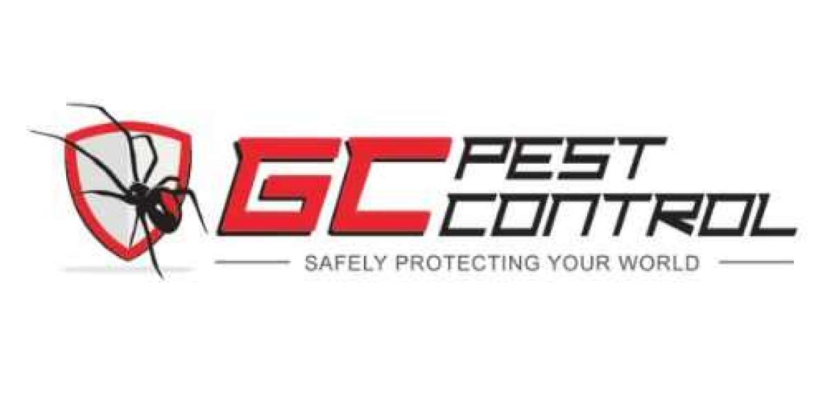 The Dangers of DIY Pest Control Why Professional Help Matters