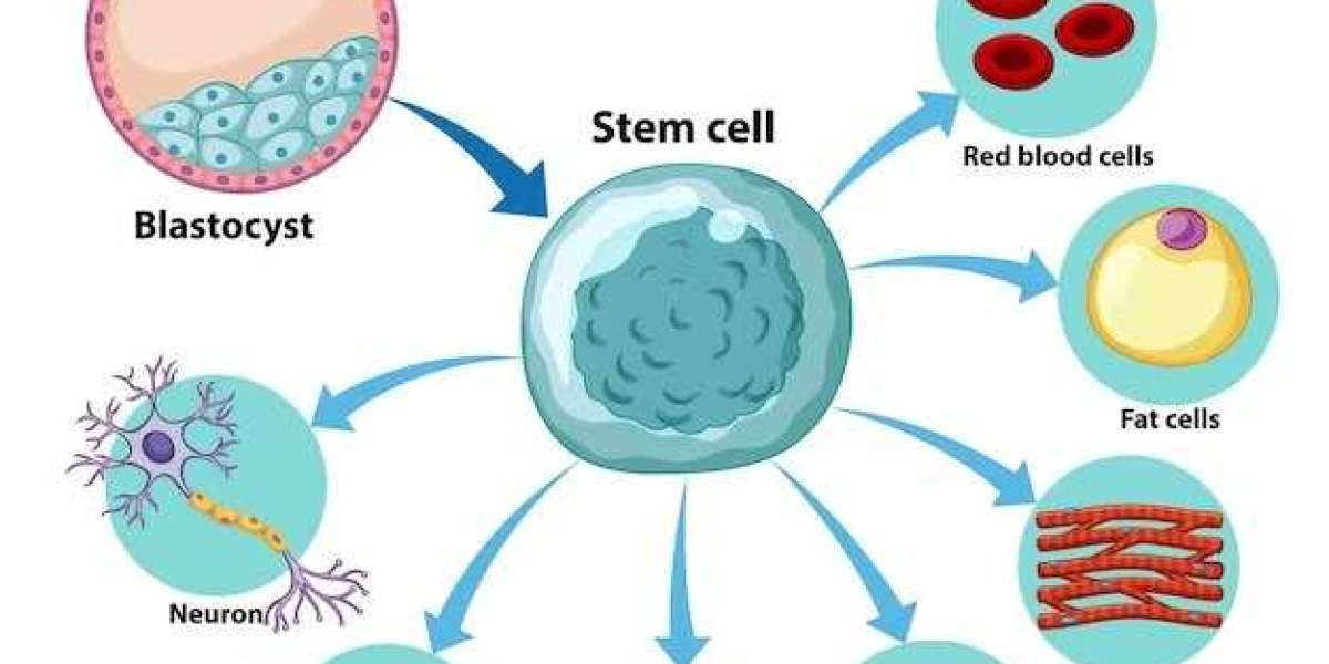 Stem Cell Therapy: Know About It in Details