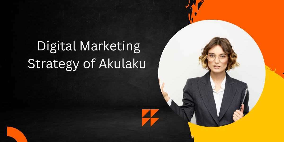 Exploring the Digital Marketing Strategy of Akulaku: A Comprehensive Analysis