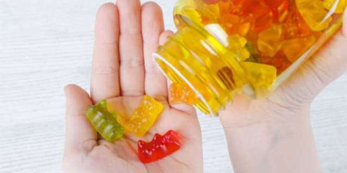 Discover the Benefits of Charlotte's Web Daily Wellness CBD Gummies
