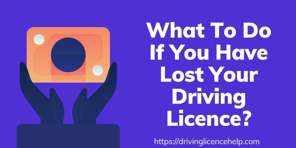 What To Do If You Have Lost Your Driving Licence?