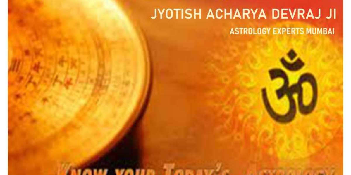 top astrologer in Delhi