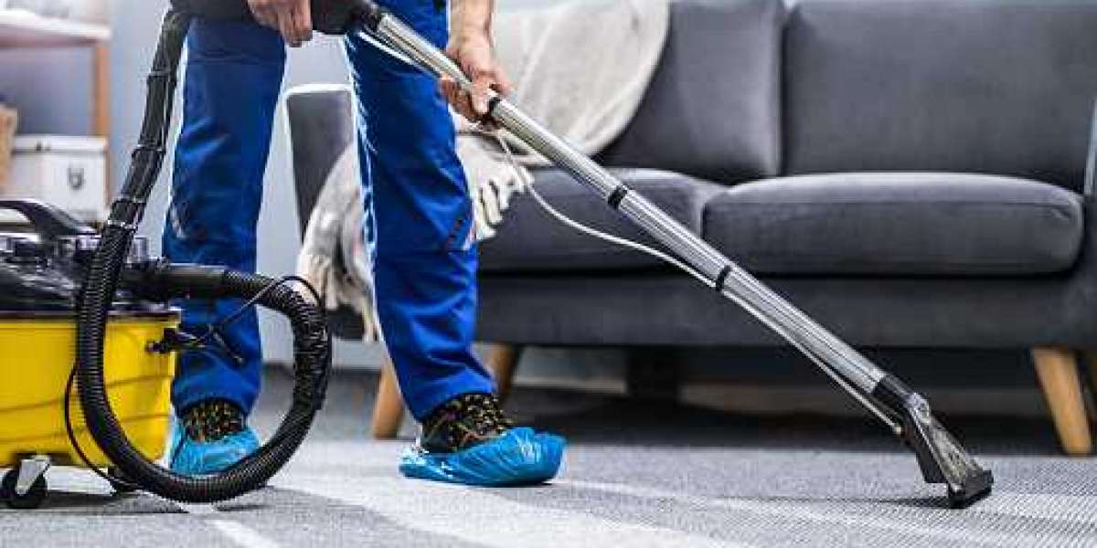 The Importance of Carpet Cleaning for a Healthy Home Environment