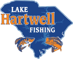 Lake Hartwell Hybrid Bass Fishing by Lake Hartwell Fishing Guides