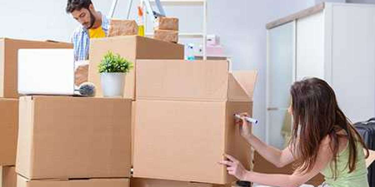 Customized Moving Plans: Tailoring Services with Movers Company