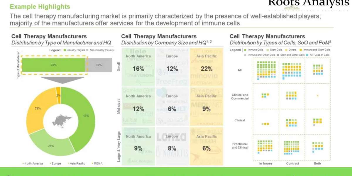 Cell Therapy Media market, Industry Analysis, and Forecast to 2035