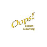 Oops Steam Cleaning Profile Picture