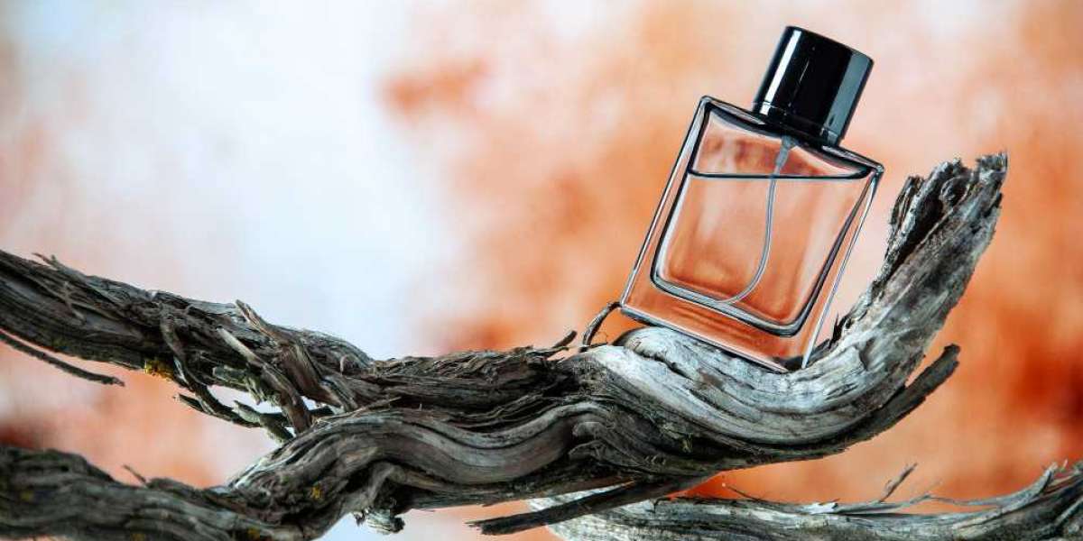 7 Key Features to Look for in Burberry Perfume for Men