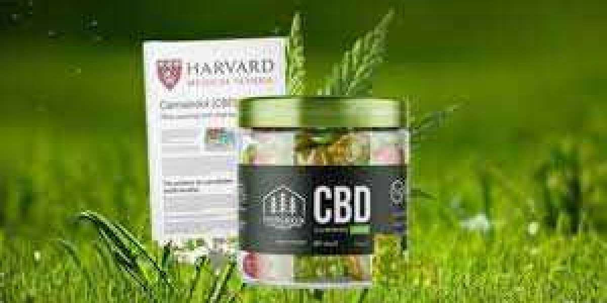 Learn All About Evergreen CBD Gummies From This Politician!